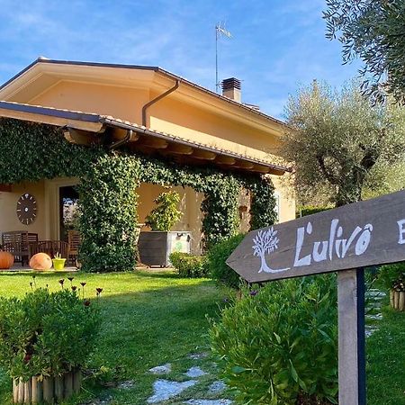 تيرامو L' Ulivo Bed & Breakfast المظهر الخارجي الصورة