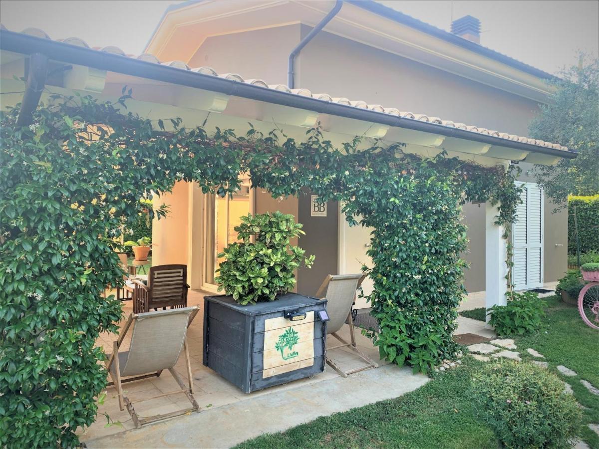 تيرامو L' Ulivo Bed & Breakfast المظهر الخارجي الصورة