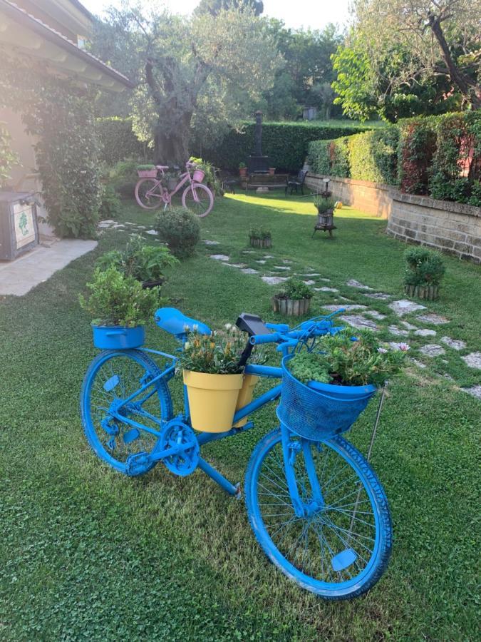 تيرامو L' Ulivo Bed & Breakfast المظهر الخارجي الصورة